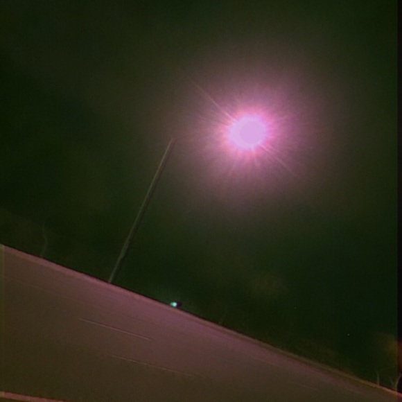 Meet your Posher, Rylee - Picture 1 of 1